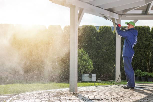Best Driveway Pressure Washing  in Plainview, NE